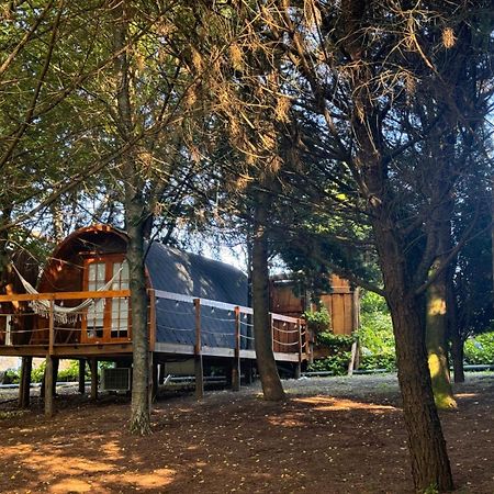 Glicinia Boutique Hotel Freamunde Dış mekan fotoğraf