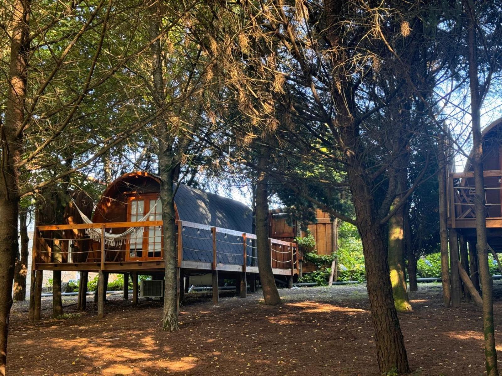 Glicinia Boutique Hotel Freamunde Dış mekan fotoğraf