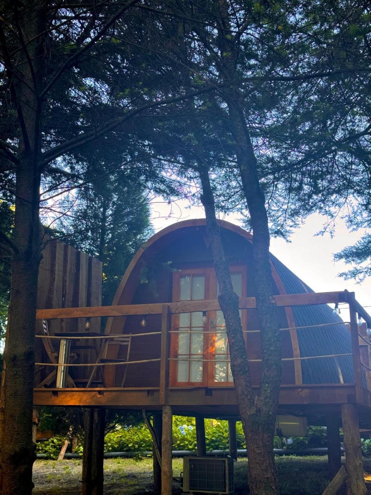 Glicinia Boutique Hotel Freamunde Dış mekan fotoğraf