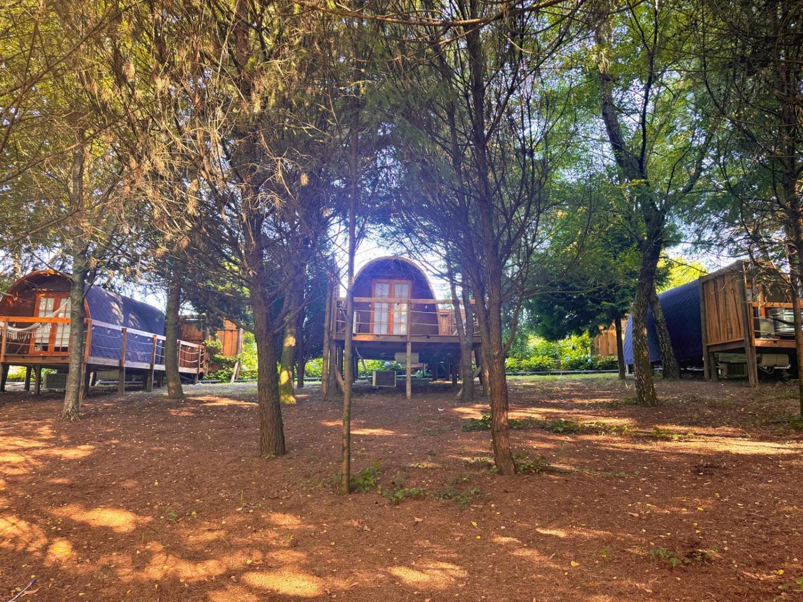Glicinia Boutique Hotel Freamunde Dış mekan fotoğraf