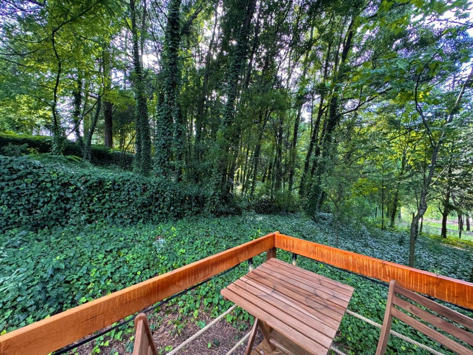 Glicinia Boutique Hotel Freamunde Dış mekan fotoğraf
